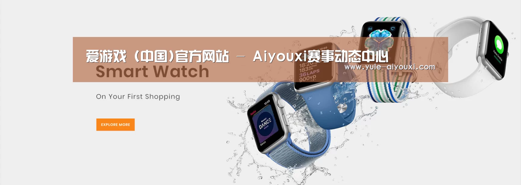 某某网络科技有限公司