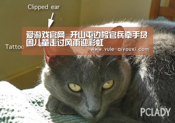 爱游戏官网-开山屯边检官兵牵手贫困儿童走过风雨迎彩虹(图3) 爱游戏官方入口