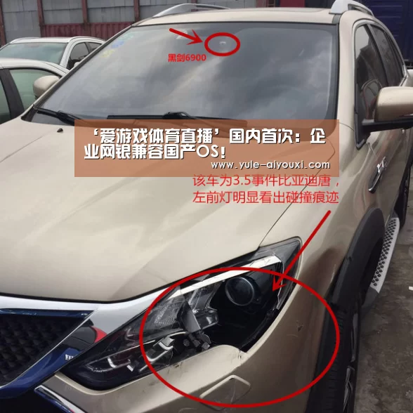‘爱游戏体育直播’国内首次:企业网银兼容国产OS!(图1) 爱游戏app下载